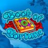 Book of Fortune slot