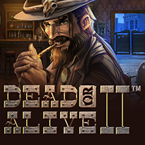 Dead or Alive 2 slot