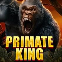 Primate King slot